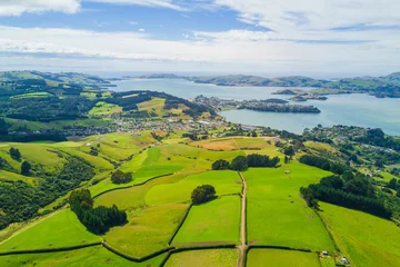 Fotobehang Luchtfoto Dunedin Town en Otago Bay, Nieuw-Zeeland © superjoseph