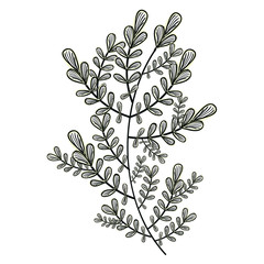 leafs water color decoration vector illustration design