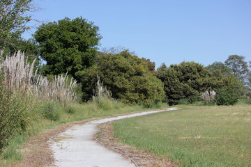 Fototapeta na wymiar Gravelly path along treeline