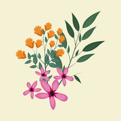 cosmos natural floral decoration vector illustration eps 10