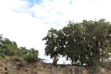 Fence Off The Cliff