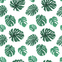 Tropical exotic bright green turquoise monstera leaves seamless pattern on white green background. Vector design illustration for textile, fabric, decoration, packaging, wrapping, fashion.