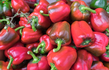Red bell peppers for sale at the city farmers market