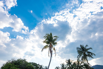 Fototapeta premium Blue sky