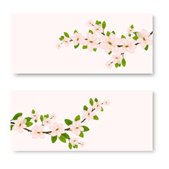 two banners with pink ornamental Sakura flowers