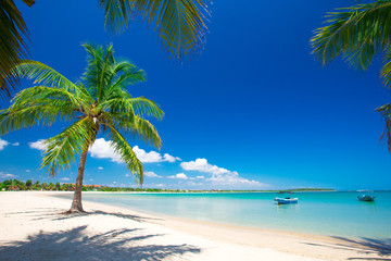 Obraz premium tropical beach in Sri Lanka
