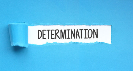 Determination / Paper