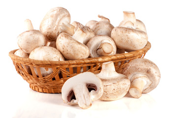 Champignon mushrooms in a wicker basket isolated on white background