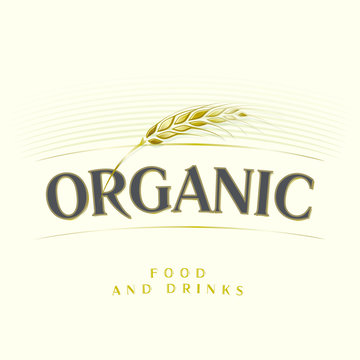 Golden single wheat ear and inscription "organic food and drink" on beige background.
