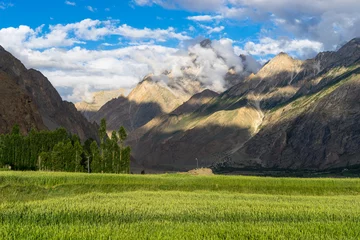 Schapenvacht deken met foto K2 Padieveld in Askole-dorp in de zomer, K2 trek, Gilgit, Pakistan
