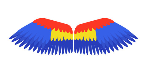 Wings blue isolated animal feather parrot bird freedom flight and natural life peace design flying element eagle winged side shapevector illustration.