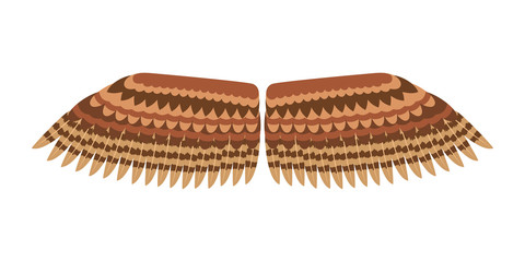 Wings isolated animal feather pinion bird freedom flight and natural hawk life brown design flying element eagle winged side shapevector illustration.