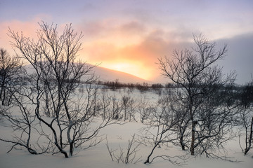 Fototapeta na wymiar Winter landscape in Russian Lapland, Kola Peninsula