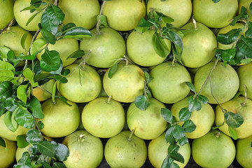grapefruit