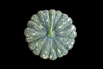 Green pumpkin isolated on black background