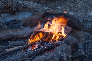 Flames of a campfire