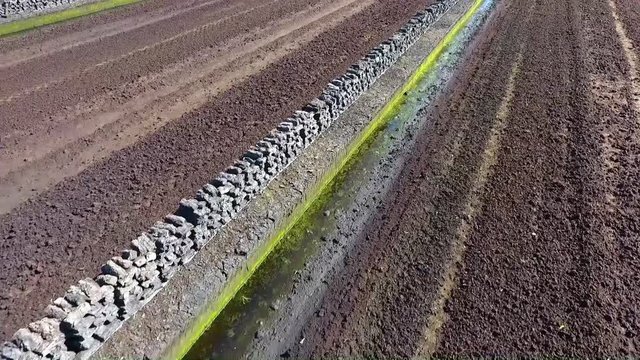 Torfabbau - gestapelte Torfballenreihe aus der Vogelperspektive