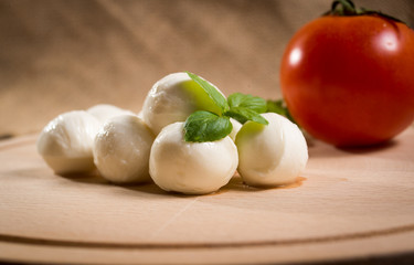 Mini mozzarella on a wooden background