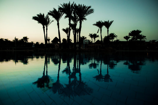 Pool with palm trees near the ocean during a beautiful sunset. Summer vocation
