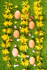 Beauty forsythia branch with eggs on grass