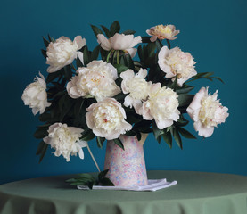 still life with white peonies in pitcher
