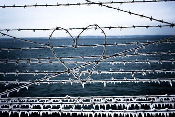 heart of barbed wire