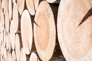 Horizontal background of wood logs of different sizes
