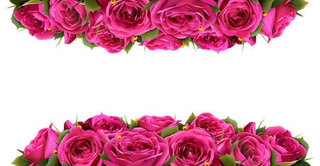 Roses Flowers Festive Border Congratulation Concept Isolated on 