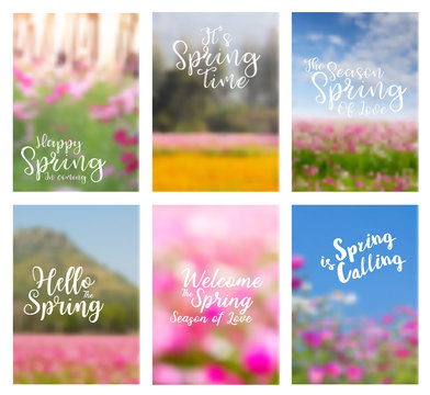 Spring flowers ideas concept with positive quotes, Annual report brochure flyer design template vector set of leaflet cover presentation nature landscape background layout in A4 size