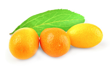 Kumquat citrus on a white background cutout