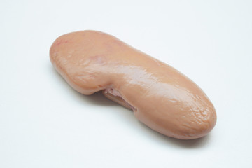 Pig kidney on a white background
