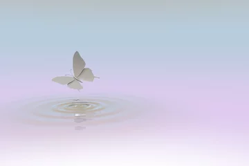 Fototapeten 3D render van papieren vlinder boven water © emieldelange