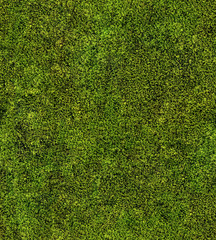 closeup of green moss seamless background