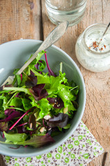 Spring herbs salad with sesame and flax seeds and spicy sour cream sauce on a wooden background. Square image copy space and close up. Top view.