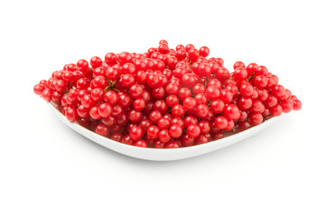 Viburnum berries over a white background