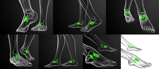 3d rendering medical illustration of the midfoot bone