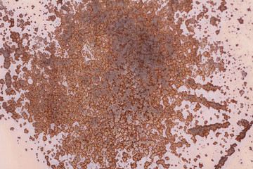 metallic old wall. garage door. texture. grunge style background. rusty wall