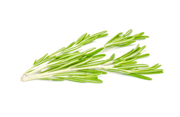 Fresh rosemary isolated on white background cutout