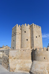 Fototapeta na wymiar Festungsturm Torre de la Calahorra Cordoba 