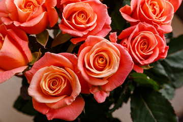 Pink roses background. Bouquet of fresh natural flowers. Anniversary or engagement floral gift.