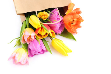 Fresh colorful tulip flowers in paper bag on white background
