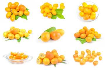 Collage of cumquats isolated on a white background cutout