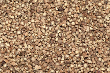 Air dried and cracked organic White peppercorns (Piper nigrum) for Infused Tea. Macro closeup. Top view.