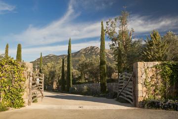 Einfahrt mediterranes Tor 