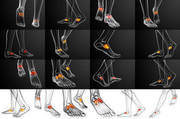 3d rendering medical illustration of the midfoot bone