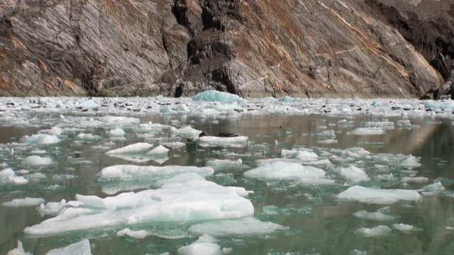 Moving Ice Floes on background of mountain and water Pacific Ocean in Alaska. Amazing landscapes. Beautiful rest and tourism in a cool climate. Unique picture of nature in America.