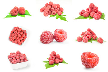 Group of sweet raspberry on white