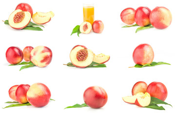 Collection of isolated peaches on a isolated white background