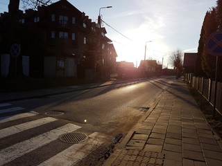 Białowieża © michalsen