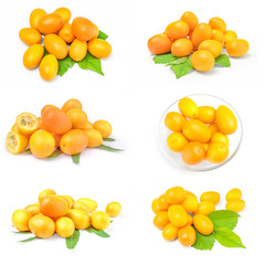 Collage of cumquats isolated on a white cutout